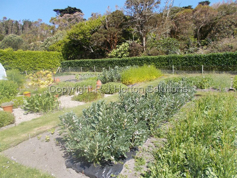 Tresco Abbey - Q